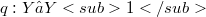 q: Y → Y<sub>1</sub>